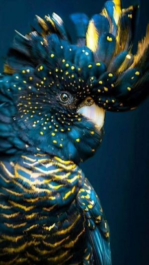 146ad7d0d14c21dee1488a5349bdd2a1.jpg