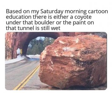 coyote.jpg