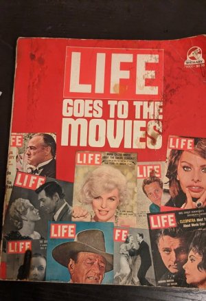 PXL_20240518_030809695 (1).jpg