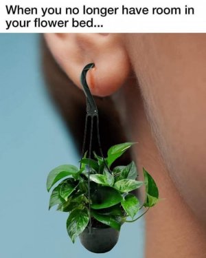 FB_IMG_1716184940092.jpg