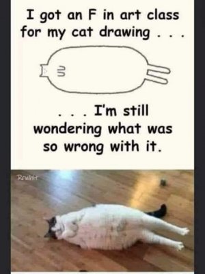 what's wrong.jpg