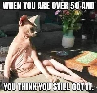 Got it.jpg