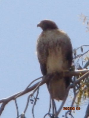 DSC01011.JPG