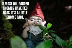 gnomefact.jpg gnomefact.jpg