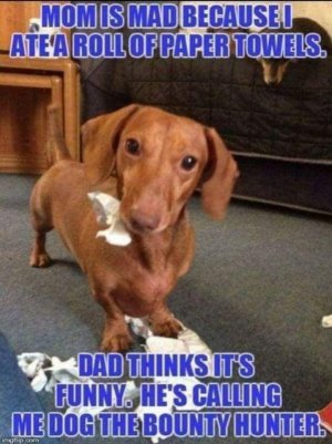 FB_IMG_1716337811471.jpg