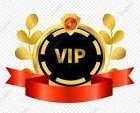 vip2.jpg