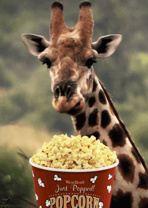 gpc.gif