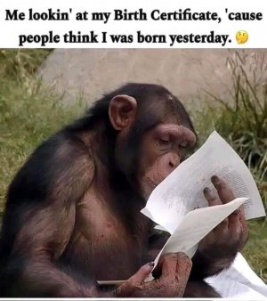 FB_IMG_1716423903456.jpg