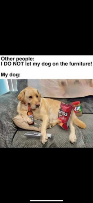 FB_IMG_1716423094287.jpg