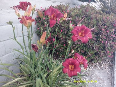 DSCF0029.JPG