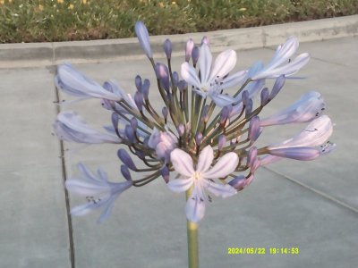 DSCF0064.JPG