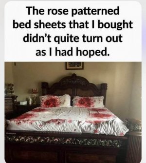IMG_8320.jpeg