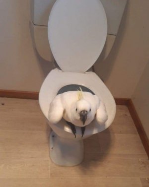 FB_IMG_1716436252456.jpg