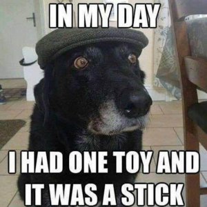 IMG_7713.jpeg