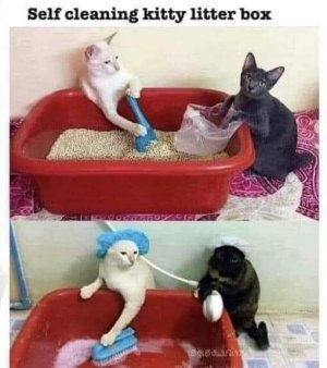 litterboxx.jpg
