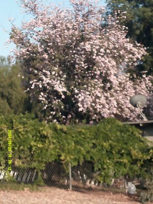 DSCF0079.JPG