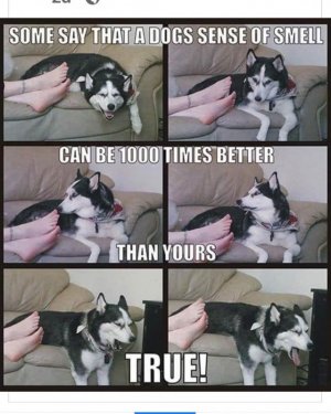 IMG_7711.jpeg