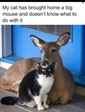 FB_IMG_1716345830475.jpg