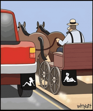 Mudflaps.gif