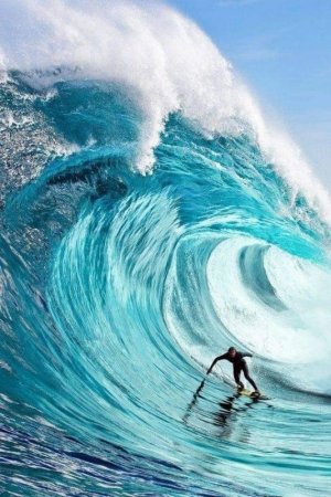 Wave Rider.jpg