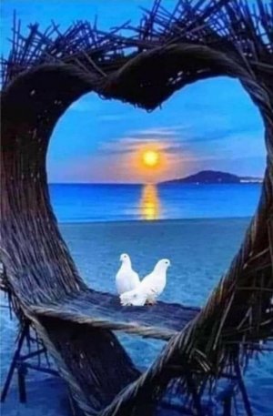 Birds in heart.jpg