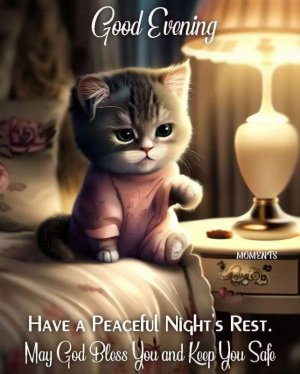 FB_IMG_1716435619742.jpg