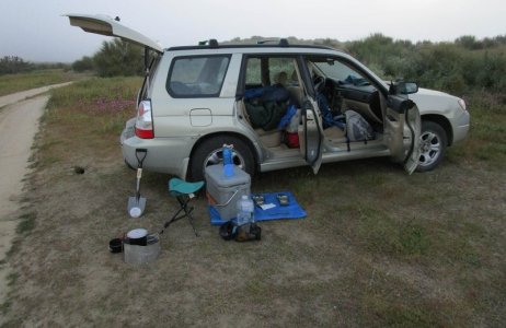 Forester-right1.jpg