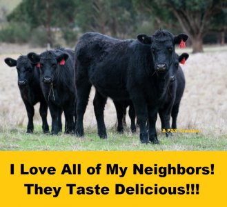 cows4.jpg