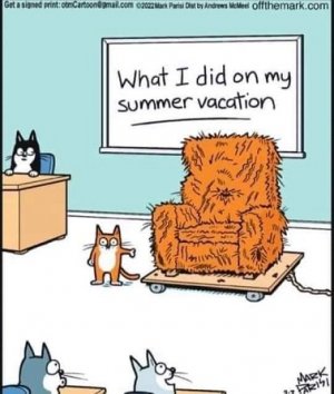 summer.jpg