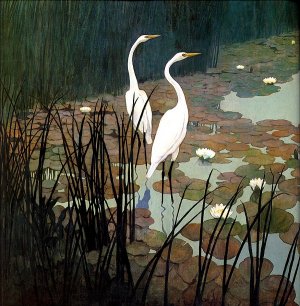 egrets.jpg
