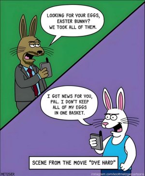 FB_IMG_1716696495707.jpg