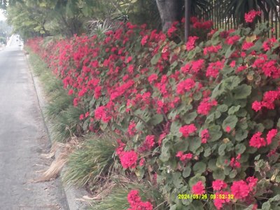 DSCF0123.JPG
