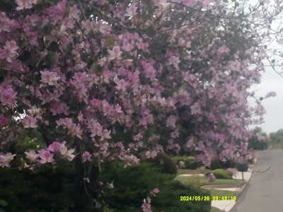 DSCF0119.JPG
