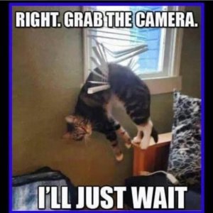 IMG_7742.jpeg