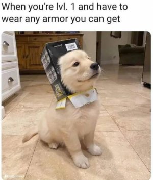 armor.jpg