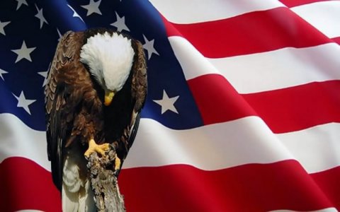 eagleandflag.jpg