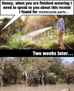 FB_IMG_1716861457868.jpg