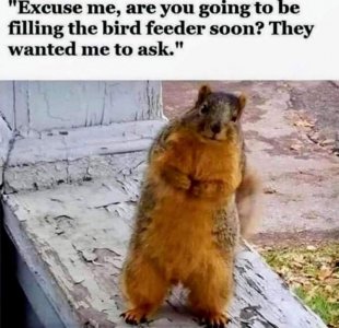 FB_IMG_1716706748848.jpg