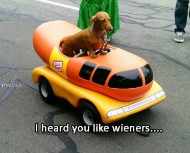 weiners1.jpg