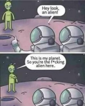FB_IMG_1716893137261.jpg