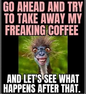 FB_IMG_1716892809533.jpg