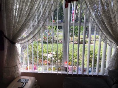 living room window.jpg