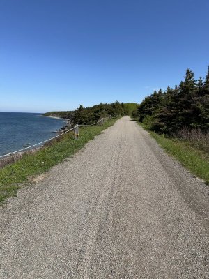 IMG_4519.jpeg