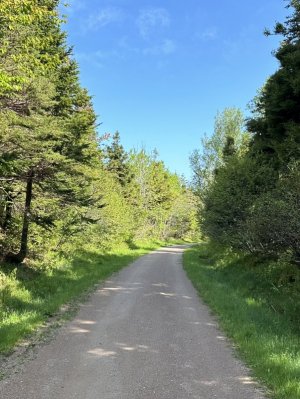 IMG_4502.jpeg