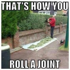 rollajoint.jpg
