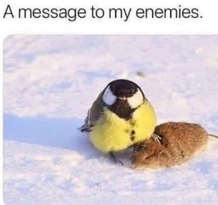 enemies.jpg