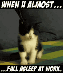 sleepykitty.gif
