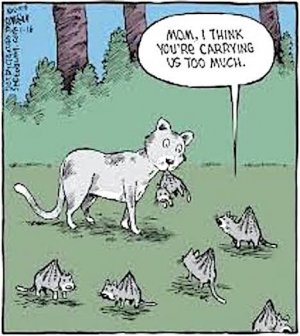 Mother & kits.jpg