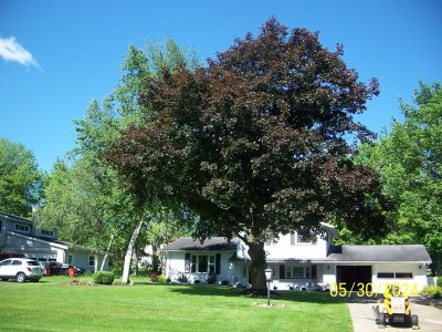 000_0077.JPG