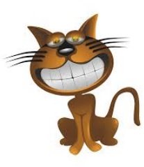 cat smile.jpg